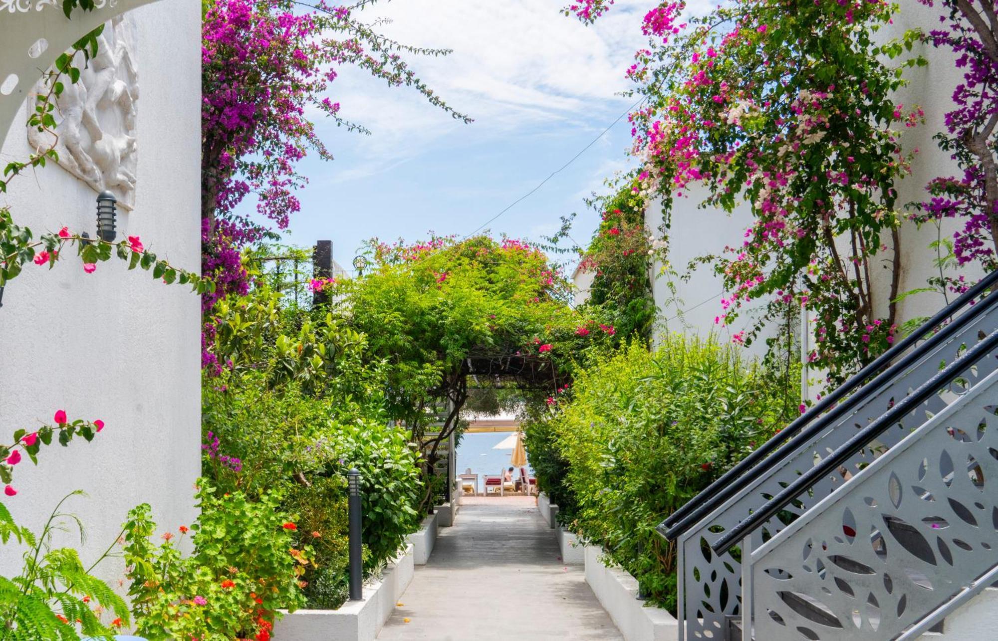 Manuela Boutique Hotel Bitez Ngoại thất bức ảnh