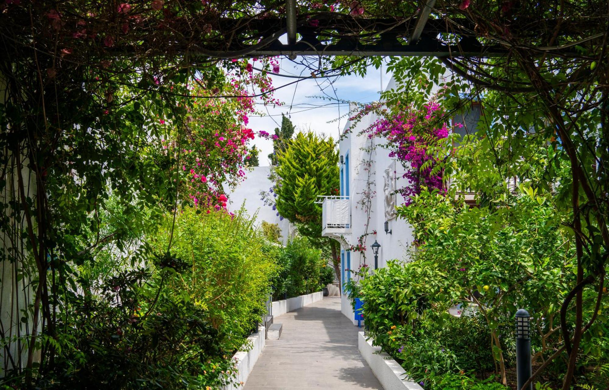 Manuela Boutique Hotel Bitez Ngoại thất bức ảnh