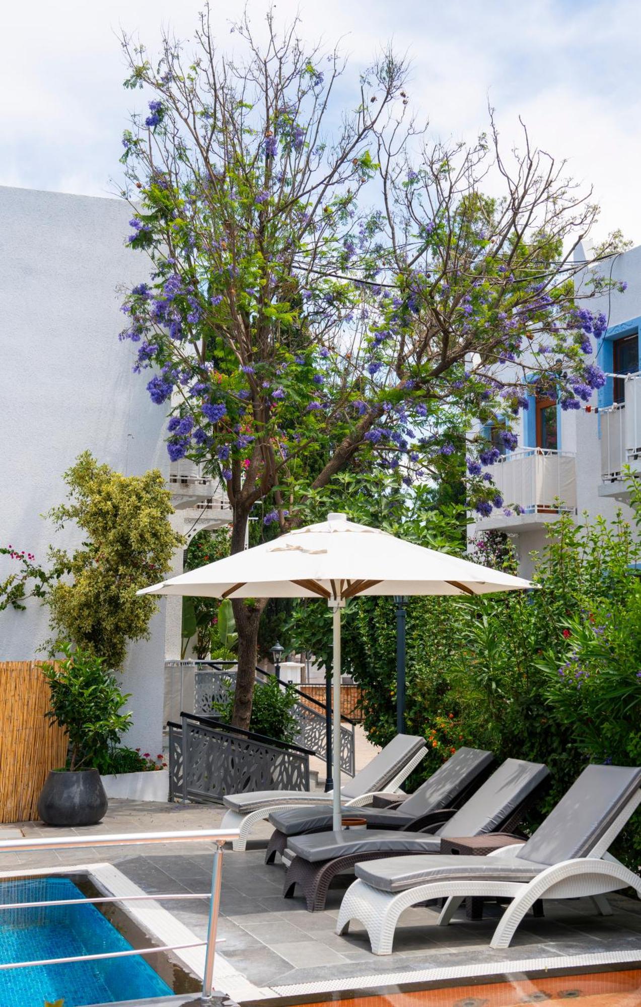 Manuela Boutique Hotel Bitez Ngoại thất bức ảnh