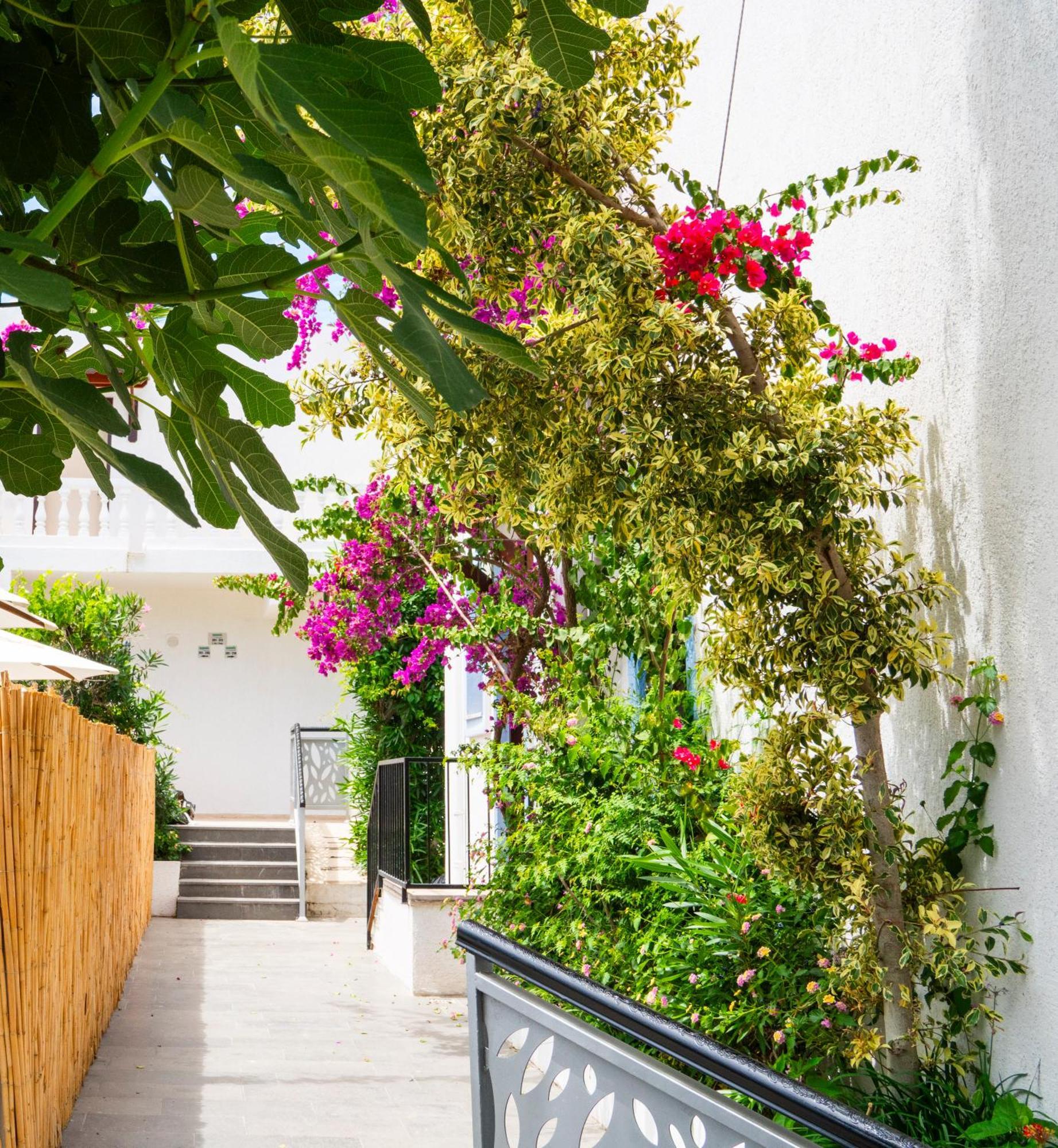 Manuela Boutique Hotel Bitez Ngoại thất bức ảnh