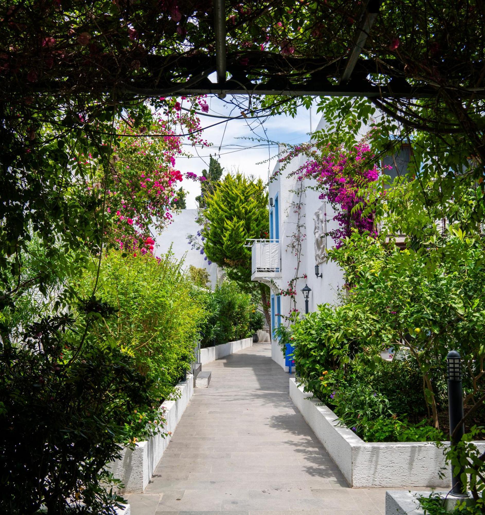 Manuela Boutique Hotel Bitez Ngoại thất bức ảnh