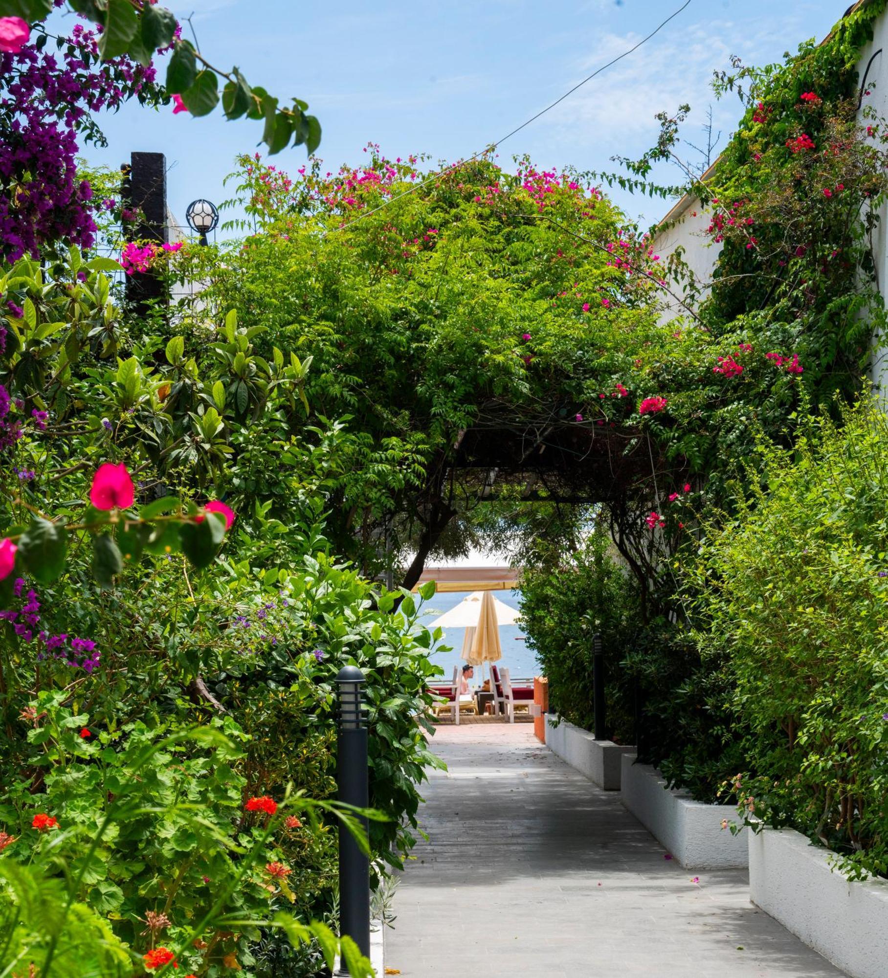 Manuela Boutique Hotel Bitez Ngoại thất bức ảnh
